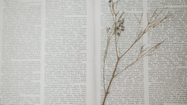 Kohesi Gramatikal: Pengertian dan Contohnya