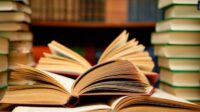 literature review