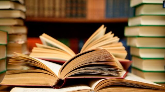 literature review