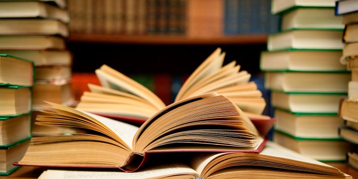 literature review