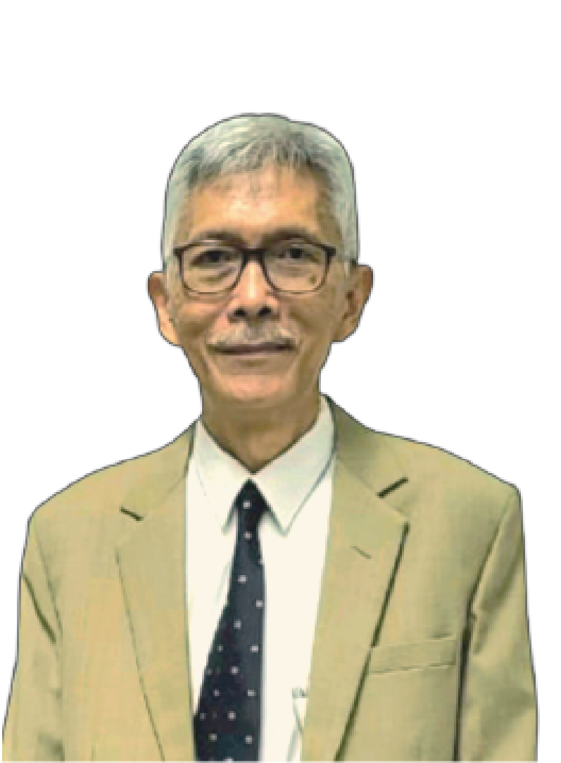 Prof. I Wayan Darmawan